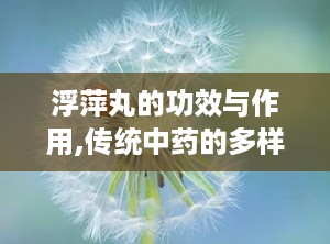 浮萍丸的功效与作用,传统中药的多样功效与作用解析