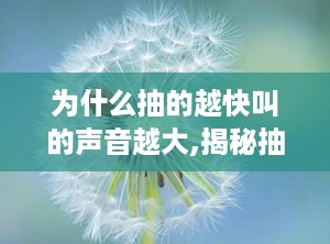 为什么抽的越快叫的声音越大,揭秘抽吸速度与声音大小的奥秘
