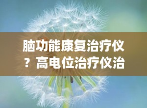 脑功能康复治疗仪？高电位治疗仪治管用吗
