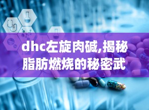 dhc左旋肉碱,揭秘脂肪燃烧的秘密武器”