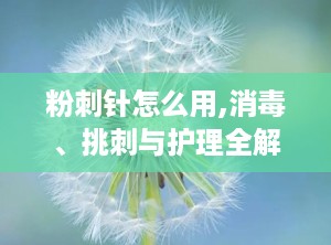 粉刺针怎么用,消毒、挑刺与护理全解析