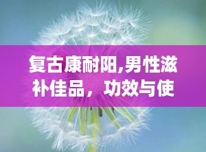 复古康耐阳,男性滋补佳品，功效与使用指南