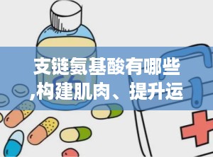 支链氨基酸有哪些,构建肌肉、提升运动表现的关键营养素