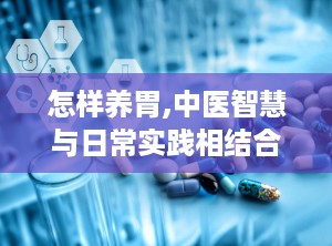 怎样养胃,中医智慧与日常实践相结合的养胃指南”