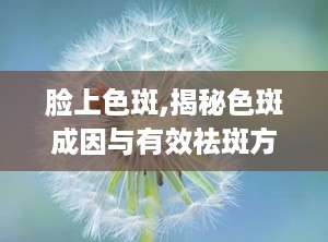 脸上色斑,揭秘色斑成因与有效祛斑方法