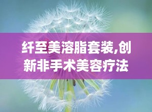 纤至美溶脂套装,创新非手术美容疗法，重塑完美身材新选择”