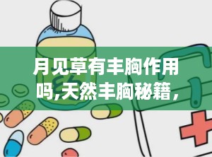月见草有丰胸作用吗,天然丰胸秘籍，效果与使用方法揭秘
