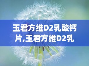 玉君方维D2乳酸钙片,玉君方维D2乳酸钙片——每日守护您的骨骼营养专家”