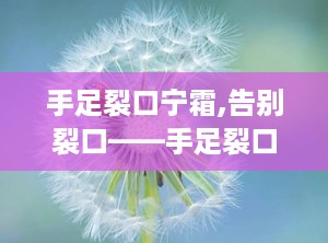 手足裂口宁霜,告别裂口——手足裂口宁霜，您的贴心护肤伴侣”