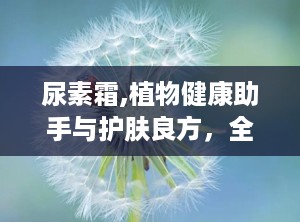 尿素霜,植物健康助手与护肤良方，全面解析其成分、功效与使用指南