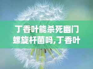 丁香叶能杀死幽门螺旋杆菌吗,丁香叶对幽门螺旋杆菌的抑制与治疗作用概述