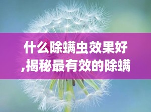 什么除螨虫效果好,揭秘最有效的除螨虫方法与产品