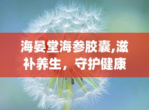 海晏堂海参胶囊,滋补养生，守护健康之道”