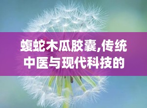 蝮蛇木瓜胶囊,传统中医与现代科技的结合，全面解析其功效与适用人群”