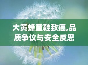 大黄蜂童鞋致癌,品质争议与安全反思