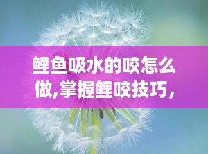 鲤鱼吸水的咬怎么做,掌握鲤咬技巧，提升垂钓成功率