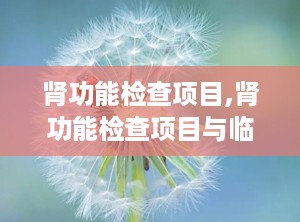 肾功能检查项目,肾功能检查项目与临床应用