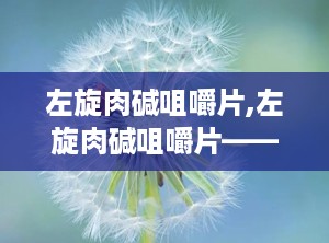 左旋肉碱咀嚼片,左旋肉碱咀嚼片——科学减肥的得力助手”