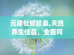 元康牡蛎胶囊,天然养生佳品，全面呵护健康之道”
