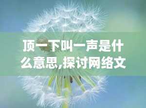 顶一下叫一声是什么意思,探讨网络文化中的互动表达方式”