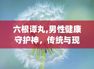 六根谭丸,男性健康守护神，传统与现代的完美结合