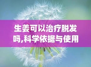生姜可以治疗脱发吗,科学依据与使用方法