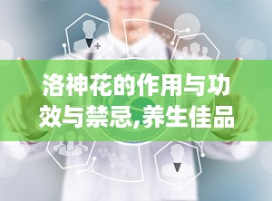 洛神花的作用与功效与禁忌,养生佳品，功效与禁忌全解析