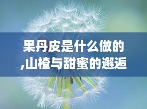 果丹皮是什么做的,山楂与甜蜜的邂逅，传统小吃的制作奥秘