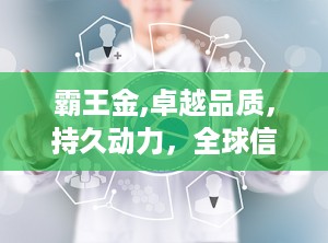 霸王金,卓越品质，持久动力，全球信赖的碱性电池品牌