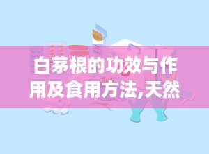 白茅根的功效与作用及食用方法,天然草药的凉血止血与清热利尿之道