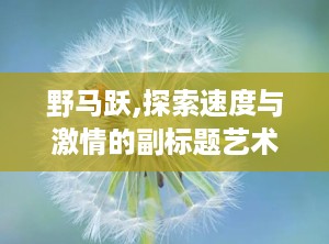 野马跃,探索速度与激情的副标题艺术