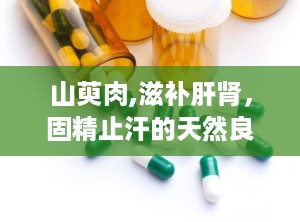 山萸肉,滋补肝肾，固精止汗的天然良药