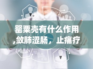 罂粟壳有什么作用,敛肺涩肠，止痛疗疾的古老中药