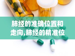 肺经的准确位置和走向,肺经的精准位置与走向解析