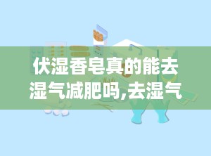 伏湿香皂真的能去湿气减肥吗,去湿气减肥的真相与使用指南