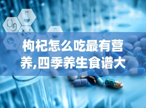 枸杞怎么吃最有营养,四季养生食谱大公开