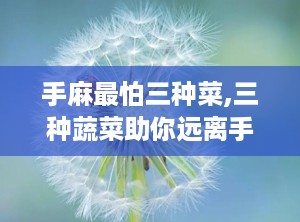 手麻最怕三种菜,三种蔬菜助你远离手麻困扰