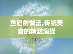 鱼翅的做法,传统美食的精致演绎
