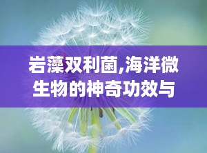 岩藻双利菌,海洋微生物的神奇功效与健康应用解析”