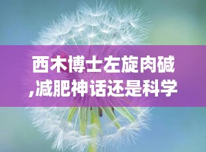 西木博士左旋肉碱,减肥神话还是科学真相？