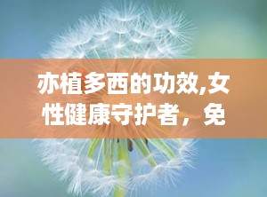 亦植多西的功效,女性健康守护者，免疫提升与私处呵护的天然选择”