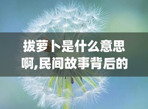 拔萝卜是什么意思啊,民间故事背后的深层寓意与生活启示