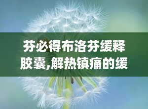 芬必得布洛芬缓释胶囊,解热镇痛的缓释剂型及其临床应用解析”