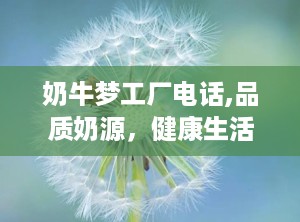 奶牛梦工厂电话,品质奶源，健康生活新选择”