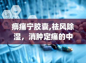 痹痛宁胶囊,祛风除湿，消肿定痛的中成药解析