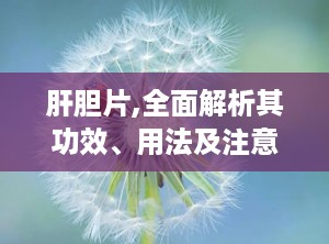 肝胆片,全面解析其功效、用法及注意事项”