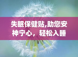 失眠保健贴,助您安神宁心，轻松入睡新体验”