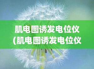 肌电图诱发电位仪(肌电图诱发电位仪的功能有哪些)