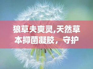 狼草夫爽灵,天然草本抑菌凝胶，守护您的肌肤健康”