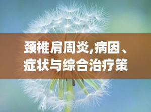 颈椎肩周炎,病因、症状与综合治疗策略